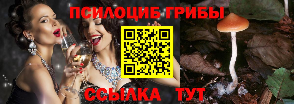 Псилоцибиновые грибы Magic Shrooms  Галлюциногенные грибы Psilocybine cubensis  Вход с VPN  Дедовск 